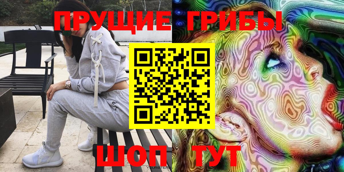 Галлюциногенные грибы Psilocybe Камень-на-Оби